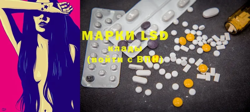 купить наркотик  Курчатов  hydra как войти  LSD-25 экстази ecstasy 